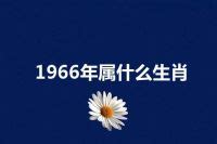 1966属什么